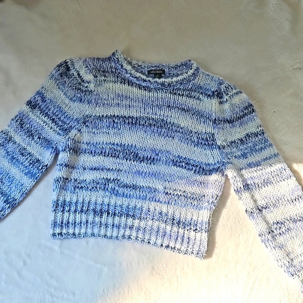 Blue striped sweater